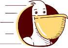 Pelican